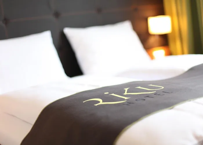 Riku Hotel 3*